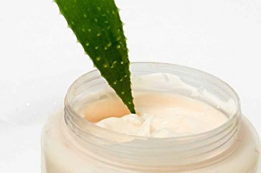 Aloe Vera Cream - Top 10 Things a Backpacker Must Have