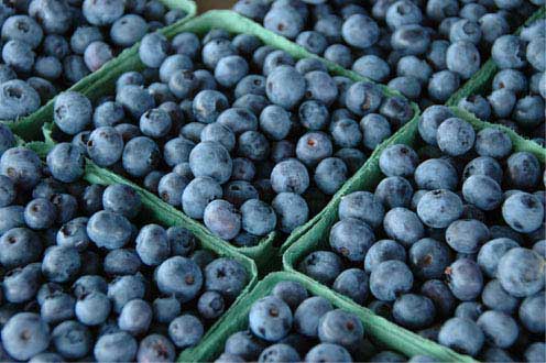 blueberries  - Heart Healthy Diet