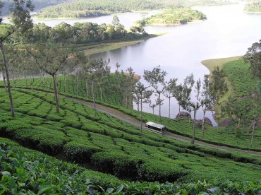 Munnar - Top 10 Places To Visit In Kerala
