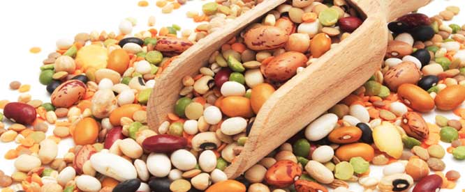 Legumes  - Heart Healthy Diet