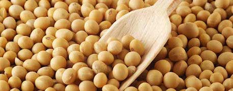 Soya-protien  - Heart Healthy Diet