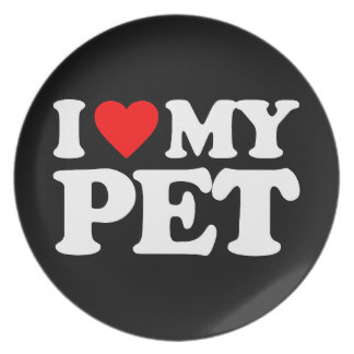 10 Must Have Products For Pet Owners- Thats my top 10